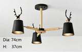 Minimalist Chandelier