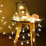 LED Star String Lights